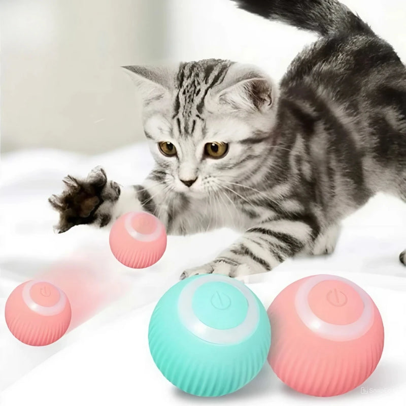 Bolinha Inteligente Para Gatos e Cães