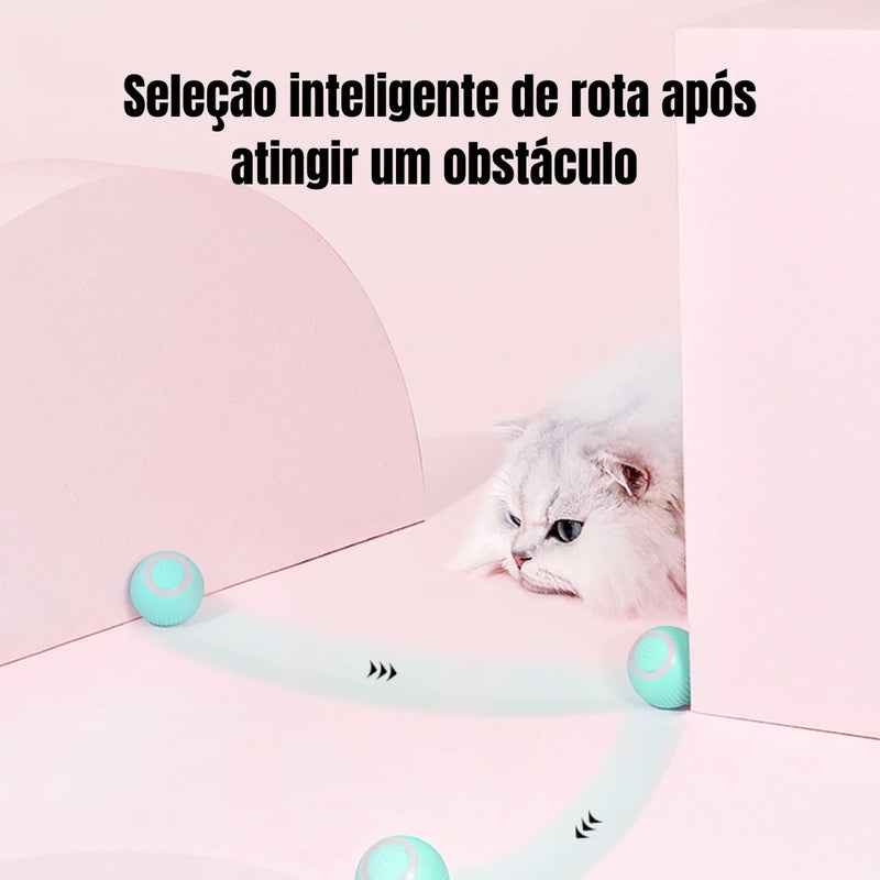 Bolinha Inteligente Para Gatos e Cães