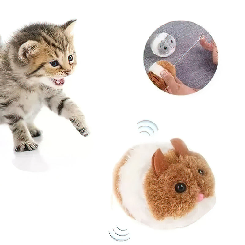 Ratinho Com Vibração para Gatos