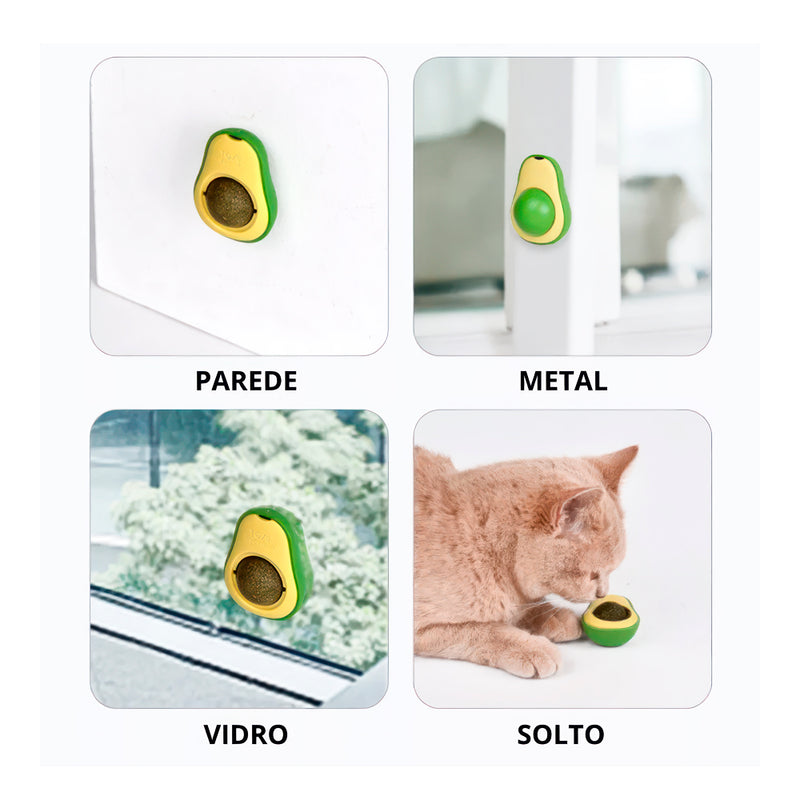 Abacate Erva-de-Gato de Pendurar