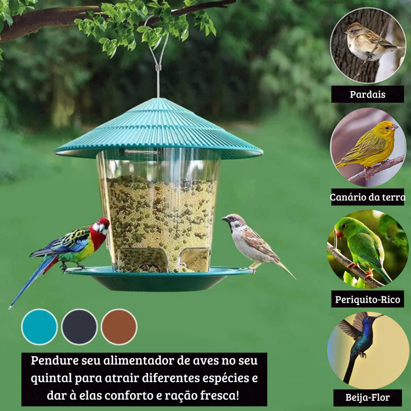 Alimentador de Aves Automático