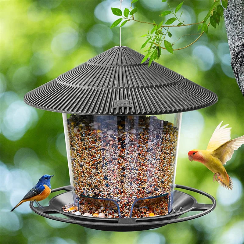 Alimentador de Aves Automático