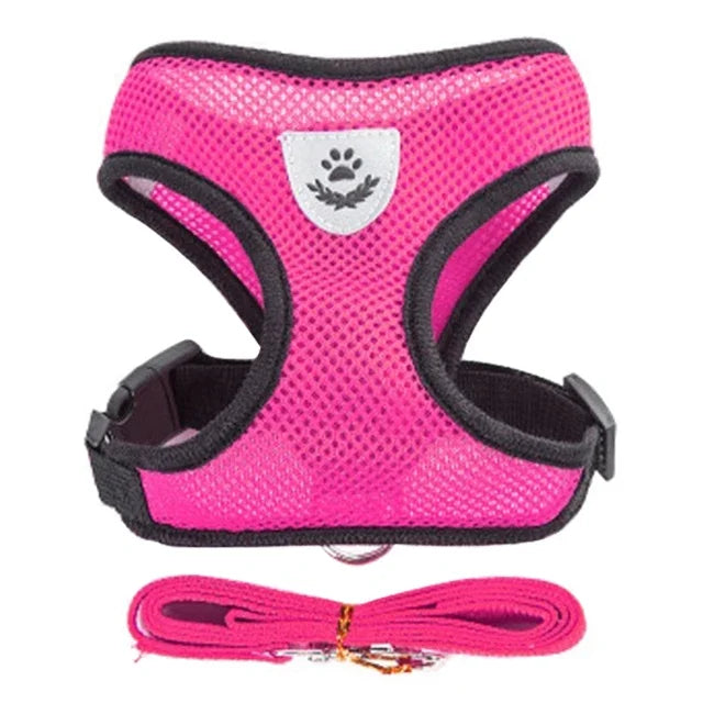 Arnês de Passeio Superconfortável para Cães e Gatos