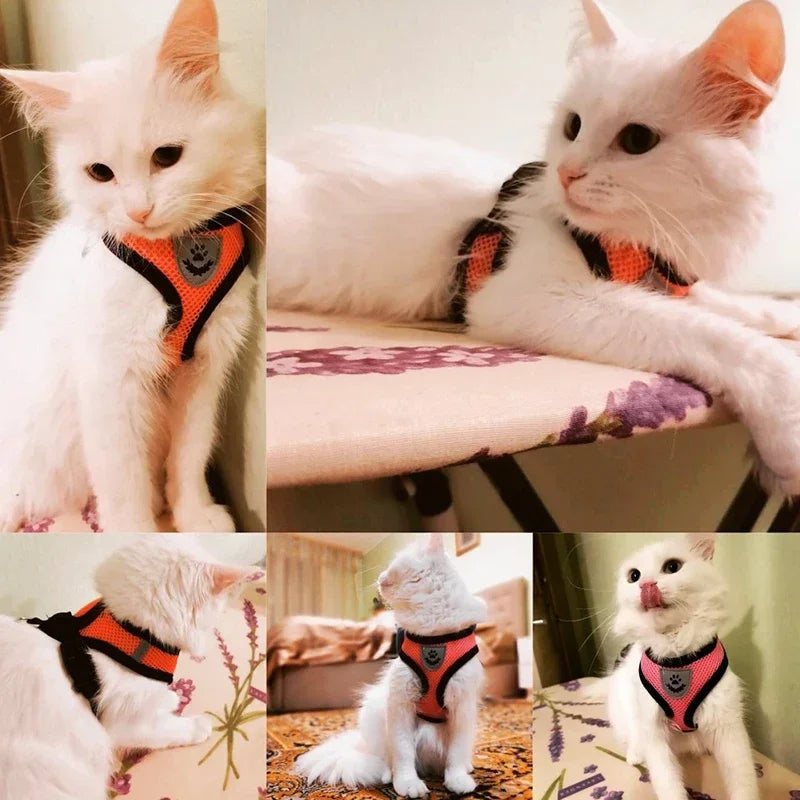 Arnês de Passeio Superconfortável para Cães e Gatos