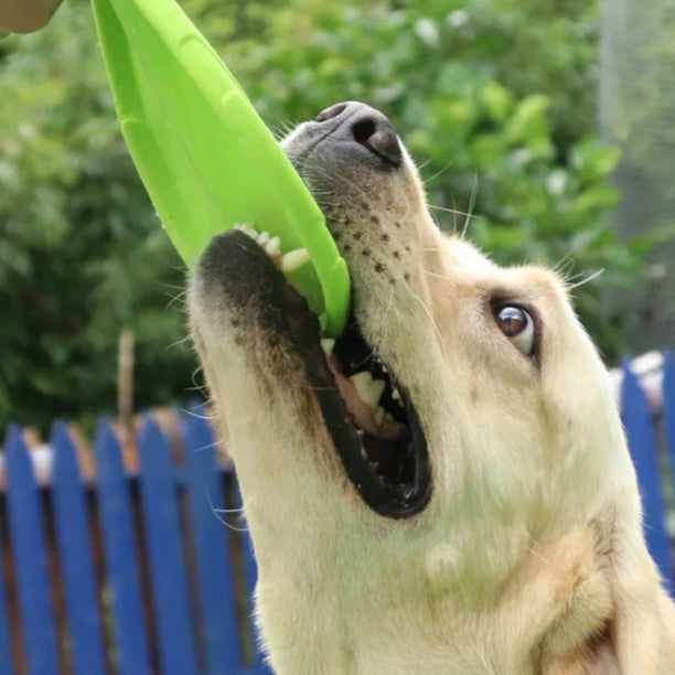 Super Disco Voador para Cachorros