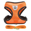 Arnês de Passeio Superconfortável para Cães e Gatos