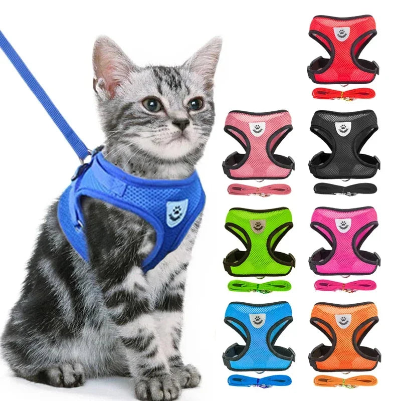 Arnês de Passeio Superconfortável para Cães e Gatos