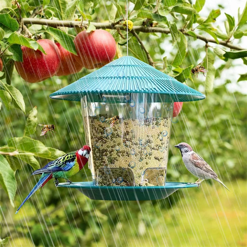 Alimentador de Aves Automático