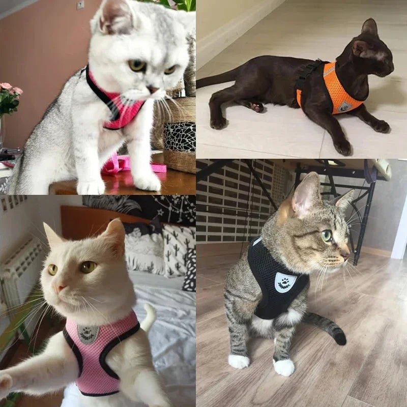 Arnês de Passeio Superconfortável para Cães e Gatos