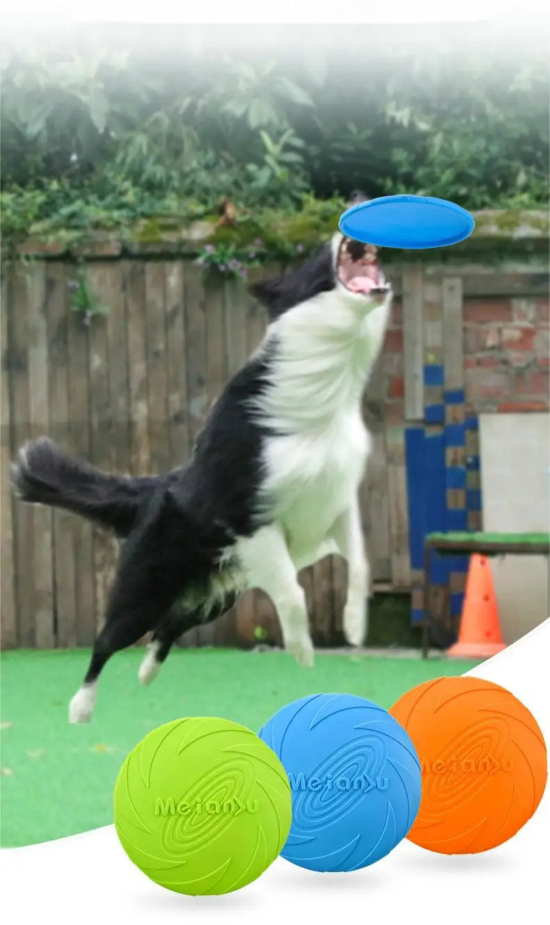 Super Disco Voador para Cachorros