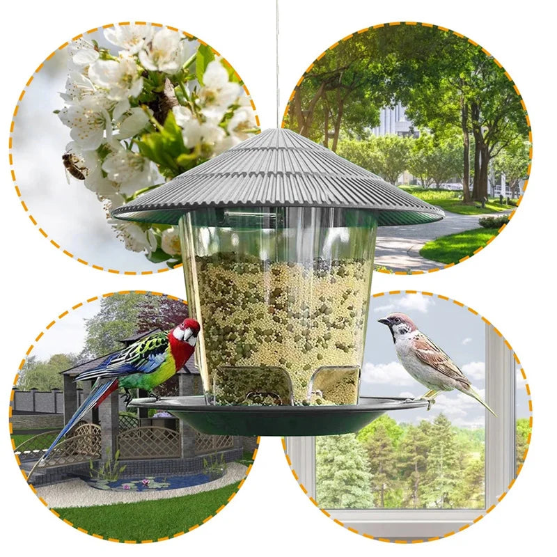 Alimentador de Aves Automático