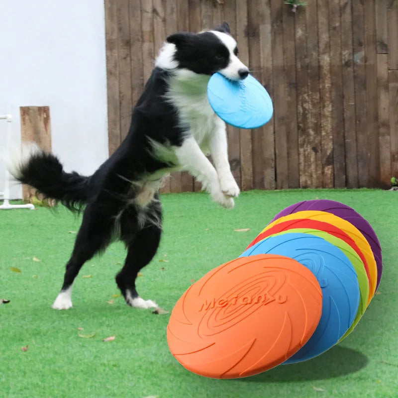 Super Disco Voador para Cachorros