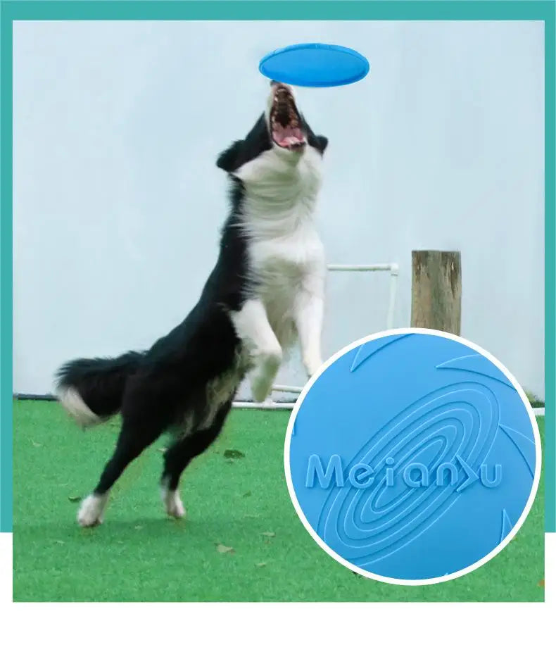 Super Disco Voador para Cachorros