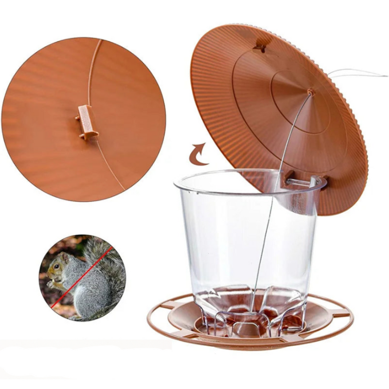 Alimentador de Aves Automático
